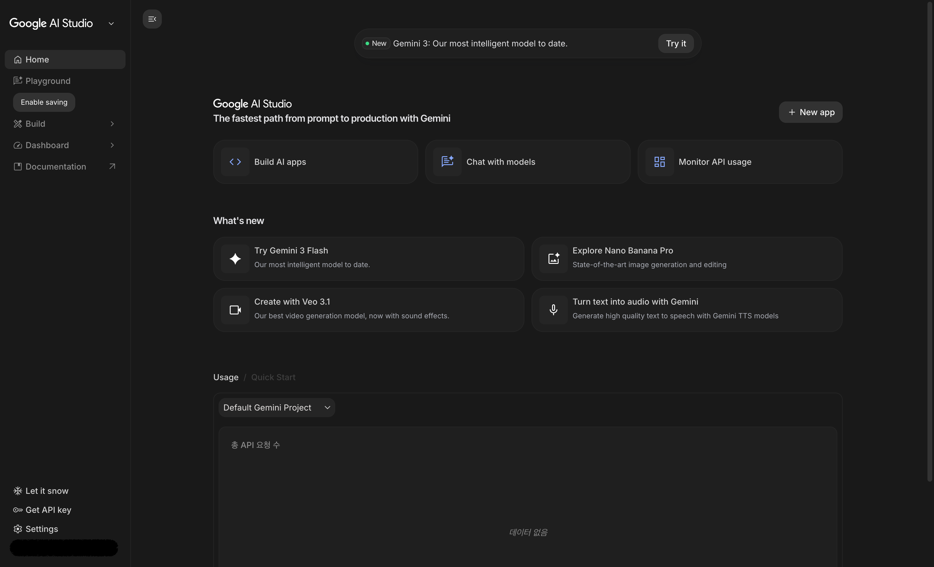 Google AI Studio 메인 화면